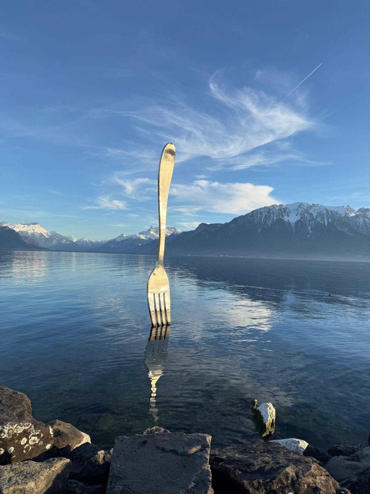 Vevey Studio Stages — Lac Léman — Jun 11–14 · Beginners
