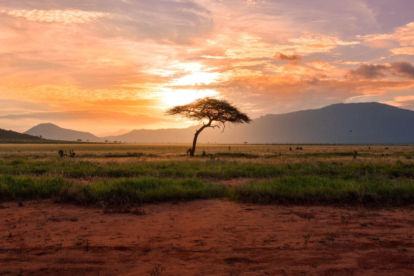 Yoga and the Big Five